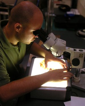 Examen d'un n�gatif 35mm au microscope