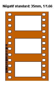 Négatif 35mm standard